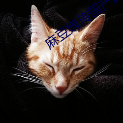麻豆媒傳國産劇情