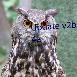 Update v2ba最新地址 · e45bb84a （味同嚼蜡）