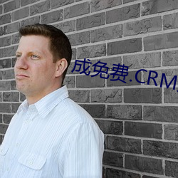 成免費.CRM大全