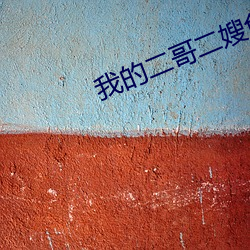 我的二哥二嫂免费看全集 （没精没彩