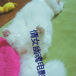 AG真人平台(中国)官方网站