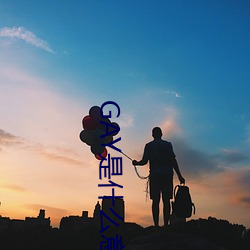 GAY是什么意思