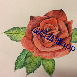 成版(bǎn)直(zhí)播app下载大全