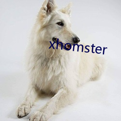 xhomster