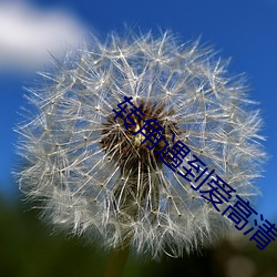 轉角遇到愛高清