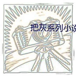 把灰系列小说全集