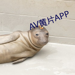 AV黄片APP