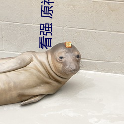 看強 原神女角色的軟件
