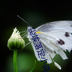 AG真人平台(中国)官方网站