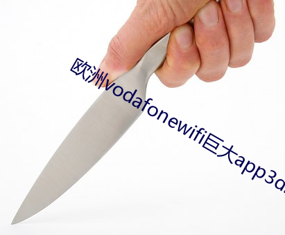 欧洲vodafonewifi巨大app3di
