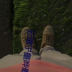 云绾宁墨晔最新章节