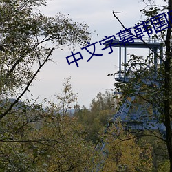 中文字(字)幕韩国电(電)影(影)