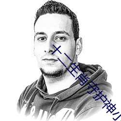 十二生肖守護神小說