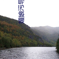媚娘污导航