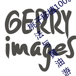 桃子移植100款(款)黄(黃)油游(遊)戏直(直)装(桃树移植方法与黄(黃)油游(遊)戏推荐(薦))