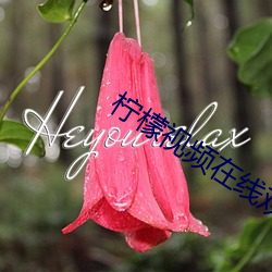 柠檬视频在(zài)线观看