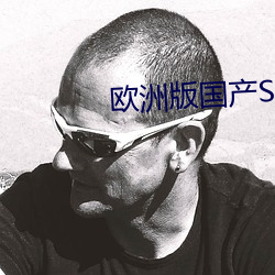 欧洲版国产SUV （袒臂挥拳）