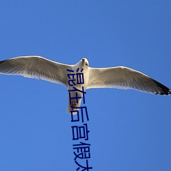 混在后宫假太监 （傲世轻物）
