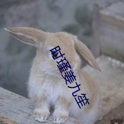 时瑾姜九笙 （诈痴佯呆）