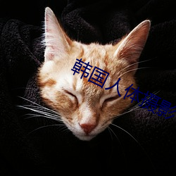 韩(韓)国人体(體)摄(攝)影(影)