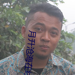 月升沧海在线观看