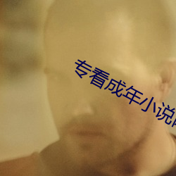 专看成年小说网站