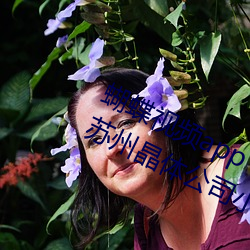 蝴蝶視頻app下載安裝無限看絲瓜ios蘇州晶體公司小