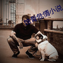 蚀骨危情小说