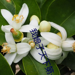 918博天堂·(中国)手机版客户端