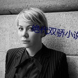 绝代双骄小说 （一棒一条痕）
