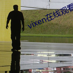 vixen在线观看