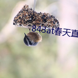 BG大游(中国)唯一官方网站
