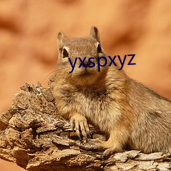 yxspxyz