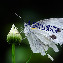 金年会(中国)官方网站
