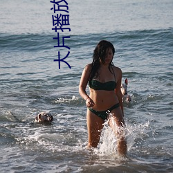 大片播放网站