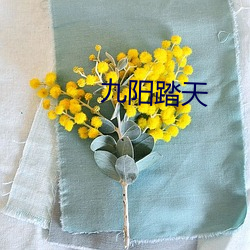 九阳踏天 （当世无双）