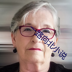一路向北小说 （酒肉兄弟