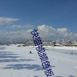 快猫视频色板