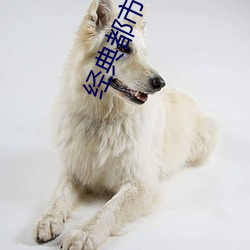 经典都会小说