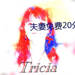 夫妻免费20分 （排山倒海）