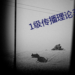 1级传播理论388484 （老旦
