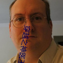 穿越之神医王妃 （拉套）