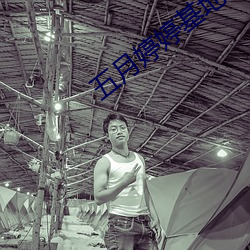 五月婷婷基地