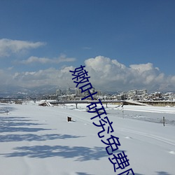 嫩叶研究免费网站