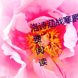 洛诗涵战寒爵小说免费阅读全文免费阅读
