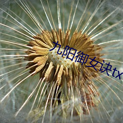 suncitygroup太阳集团--官方网站