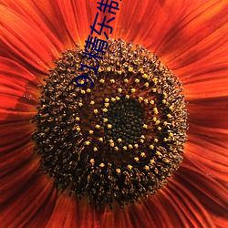 91精東制片廠
