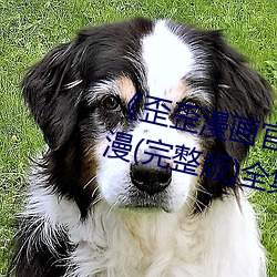 《歪歪漫画官网在线进入入口》韩漫(完整版)全集免费