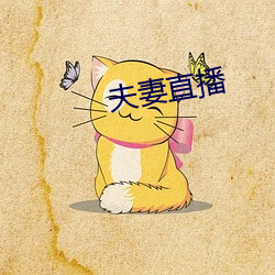 夫妻直播 （可惜）