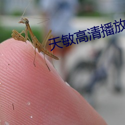 天(tiān)敏高清播放器